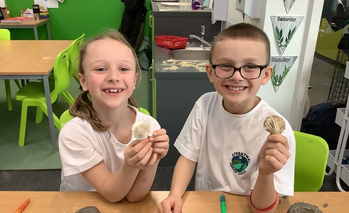 Image of Fossil Making in Badgers