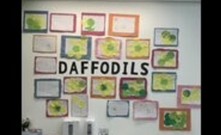 Image of Welcome to Team Daffodils!