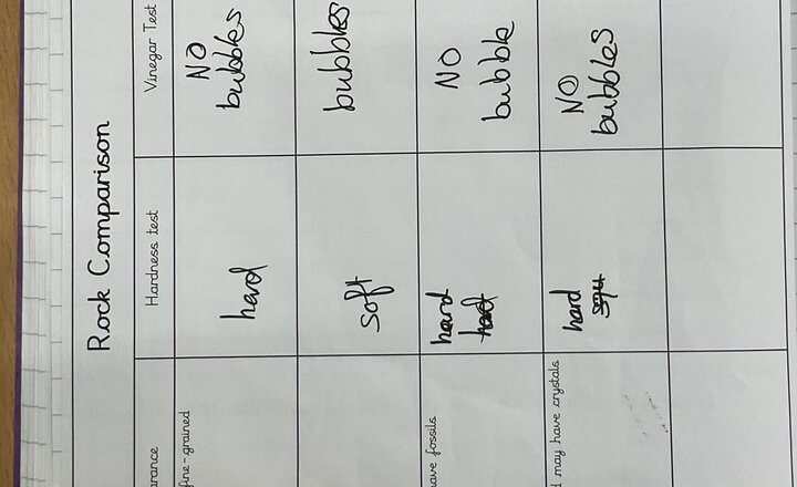 Image of Science Investigations in Team Badgers!