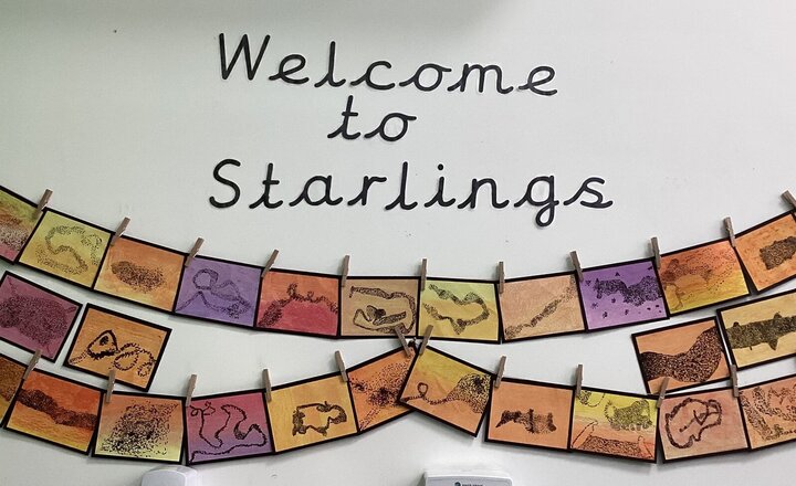 Image of Welcome to Team Starlings!