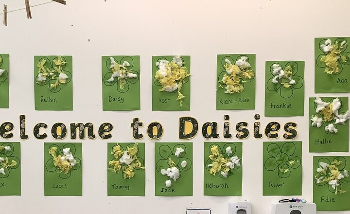 Image of Welcome to Daisies!