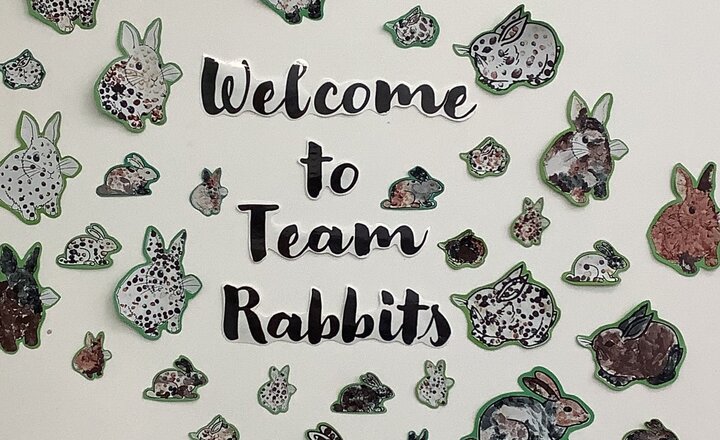 Image of Welcome to Team Rabbits!