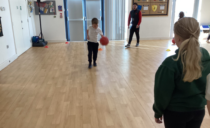 Image of Basketball in Team Hedgehogs