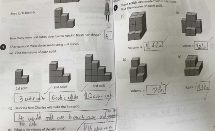 Image of Maths in Team Starlings!