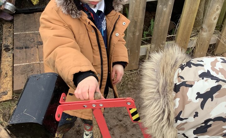 Image of Daffodils Forest School Maths