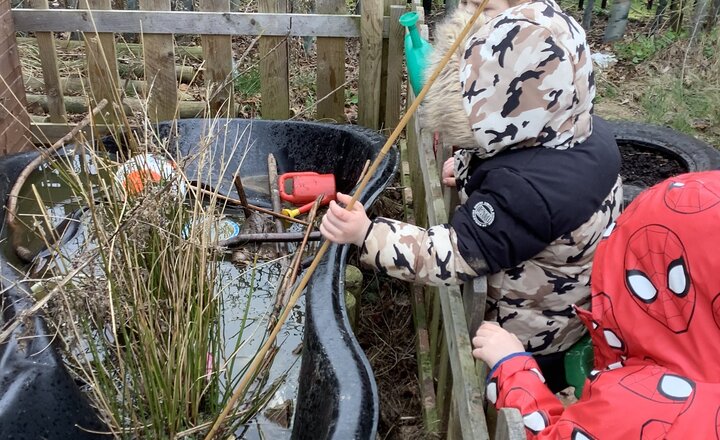 Image of Daffodils - Forest School Science