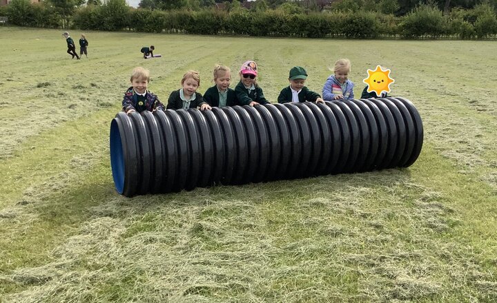 Image of Forest School in Team Daffodils