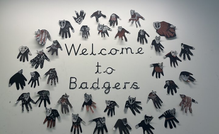 Image of Welcome to Team Badgers!