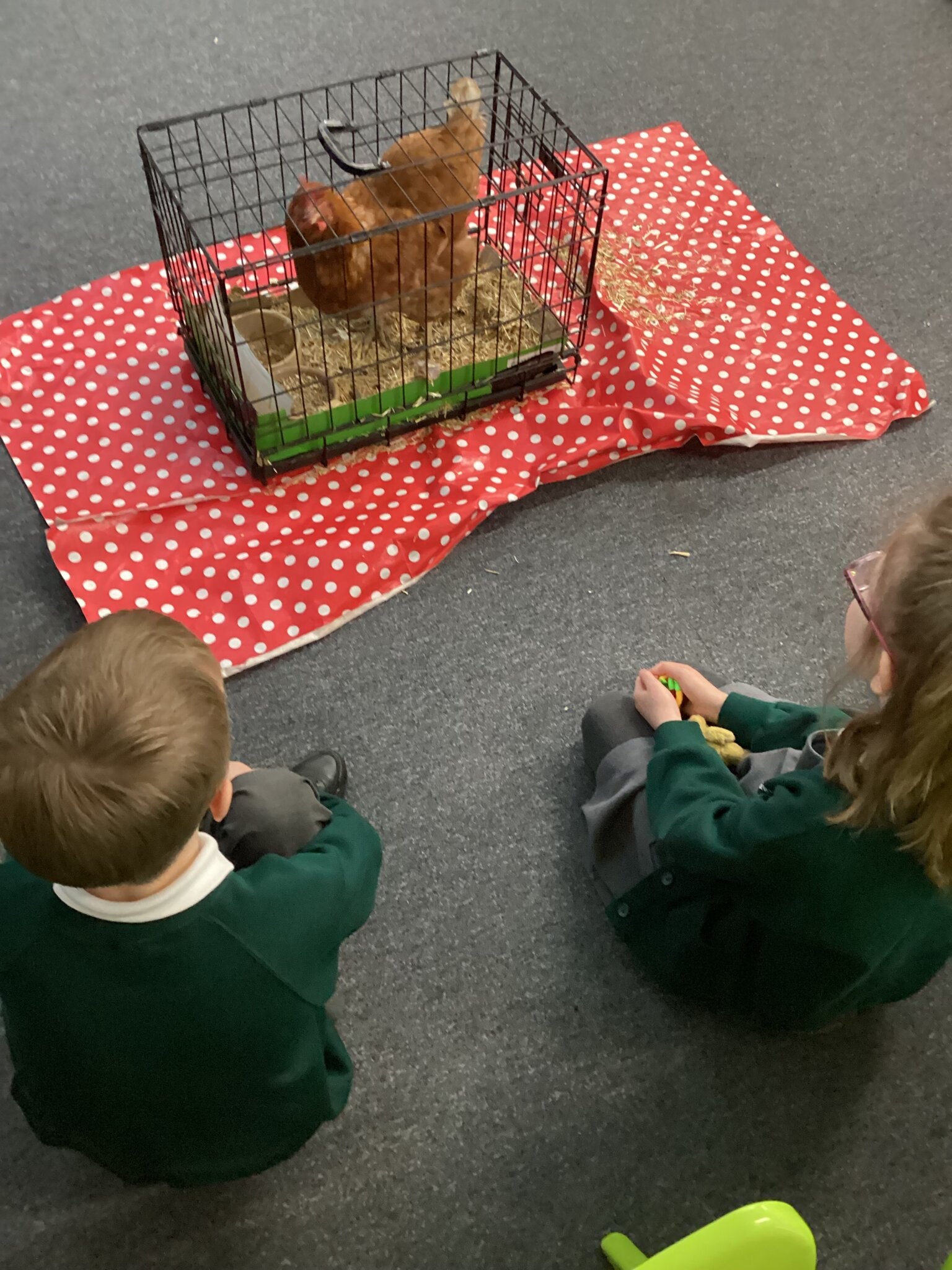 Image of Hetty visits Team Badgers!