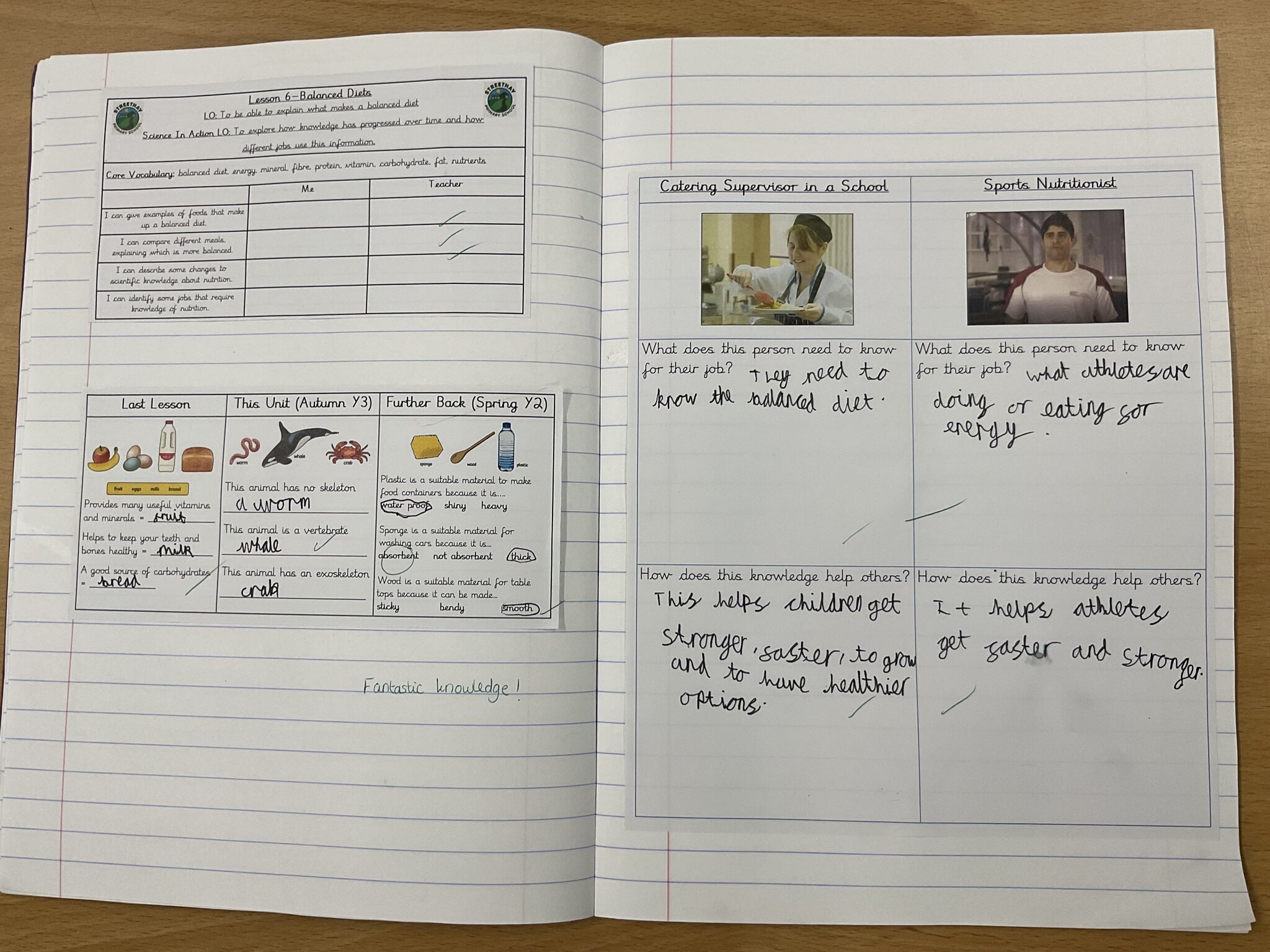 Image of Science in Team Badgers