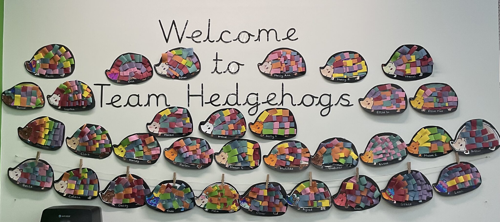 Image of Welcome to Team Hedgehogs!