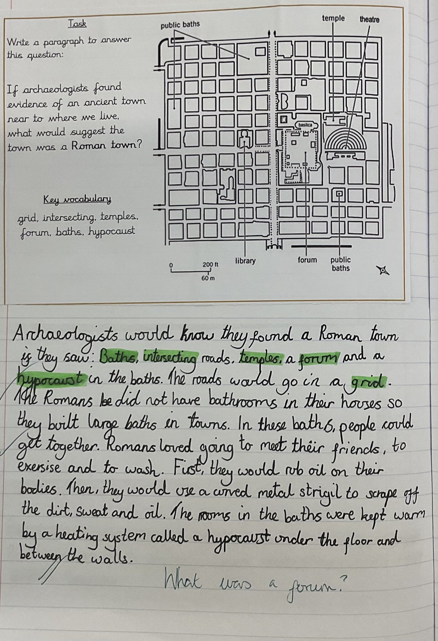 Image of Team Hedghogs: History