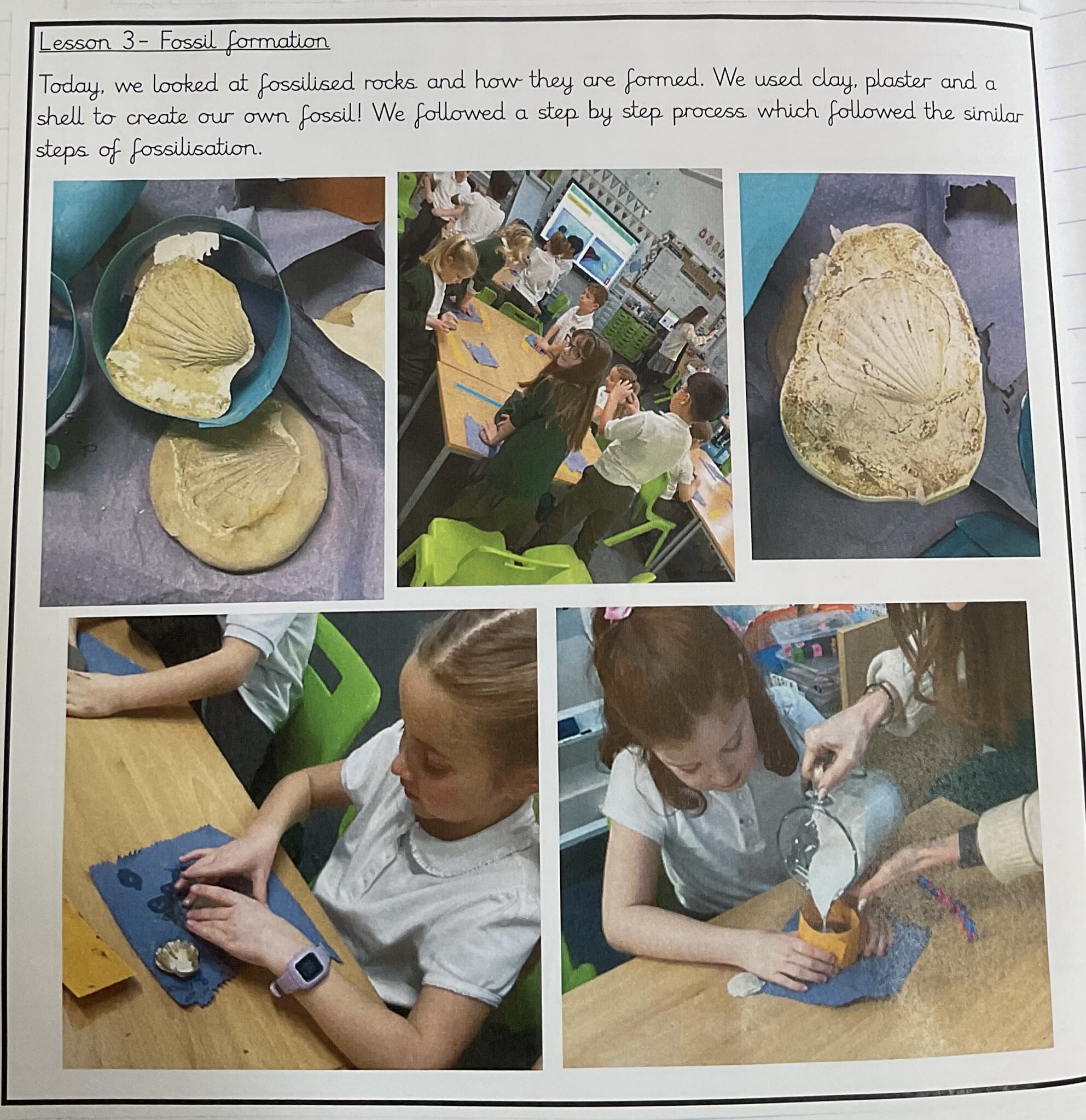 Image of Fossil creations in Team Badgers!