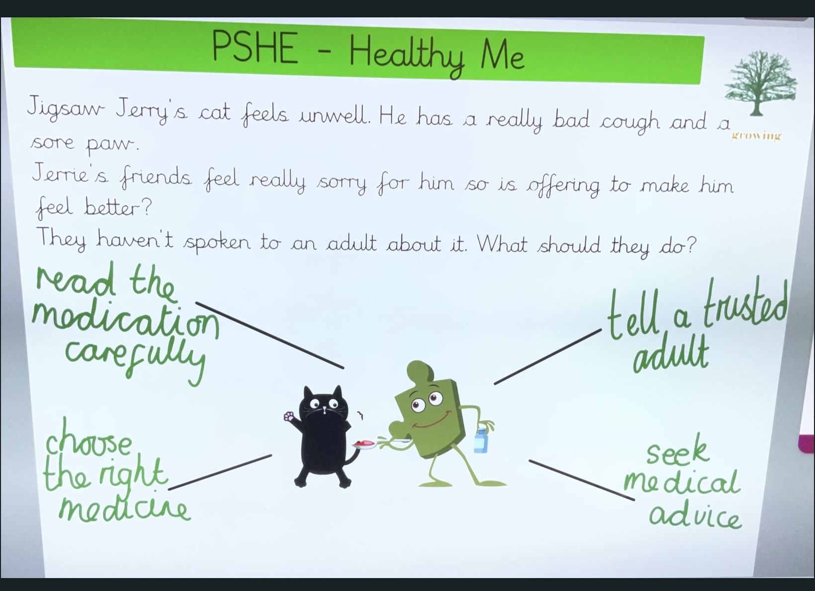 Image of Being Safe in Team Badgera