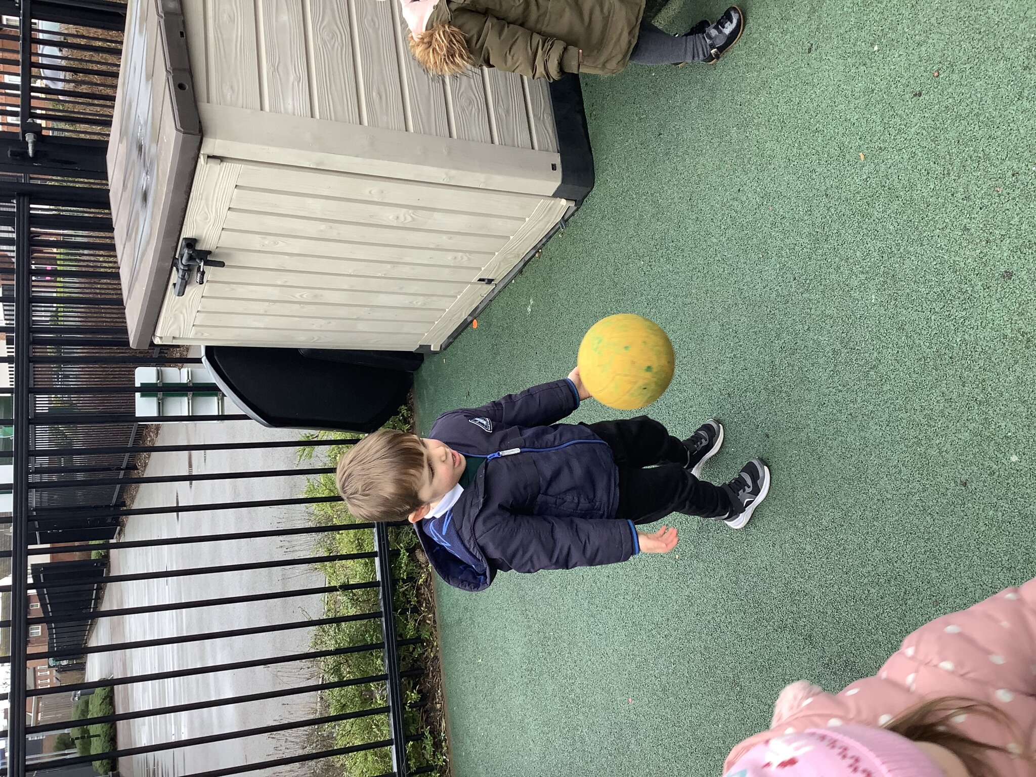 Image of Developing Physical Development in Daisies