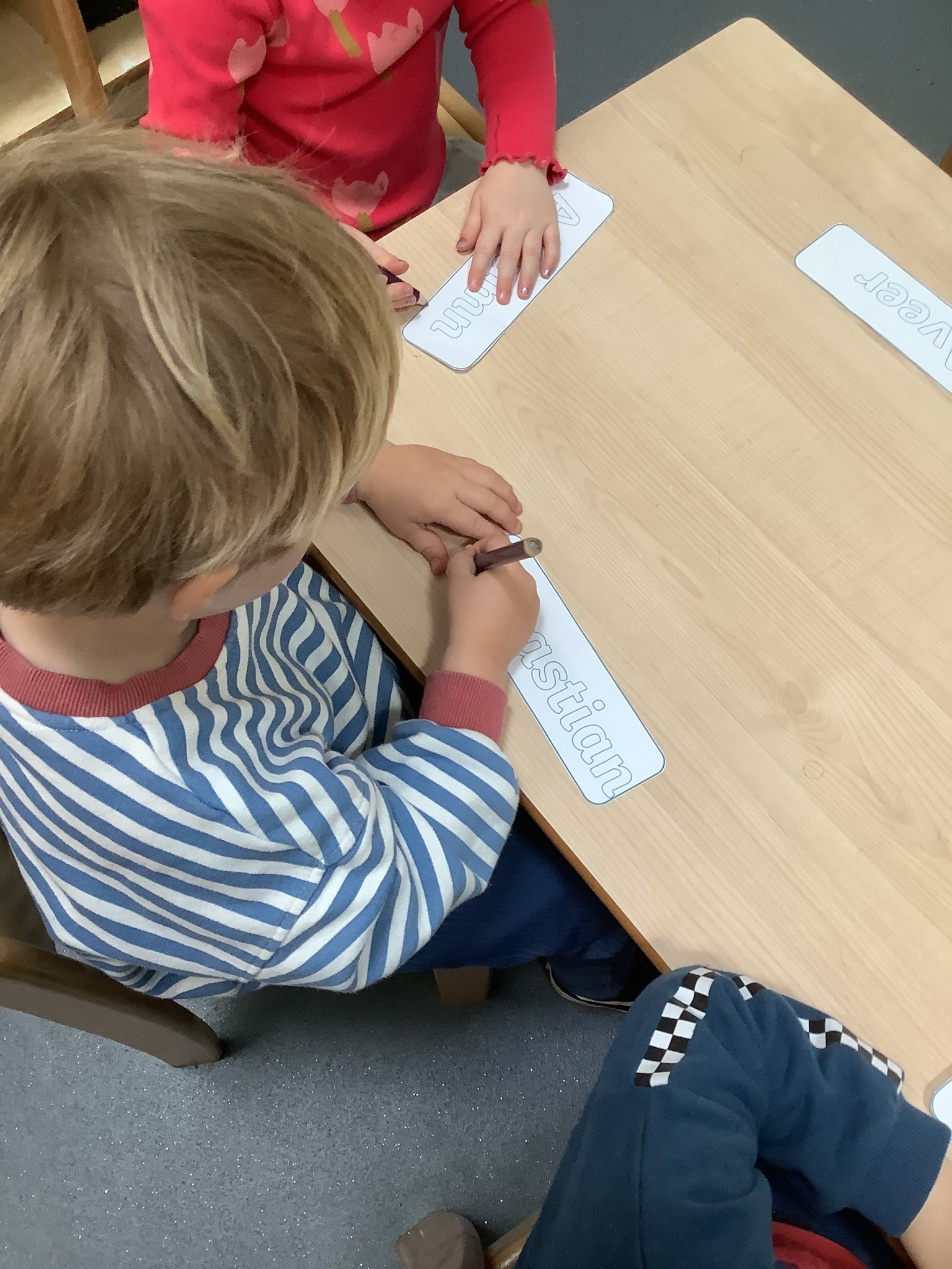 Image of Literacy in Daisies