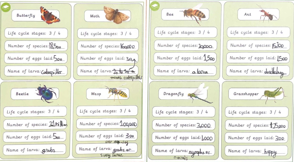 Image of Science in Team Starlings