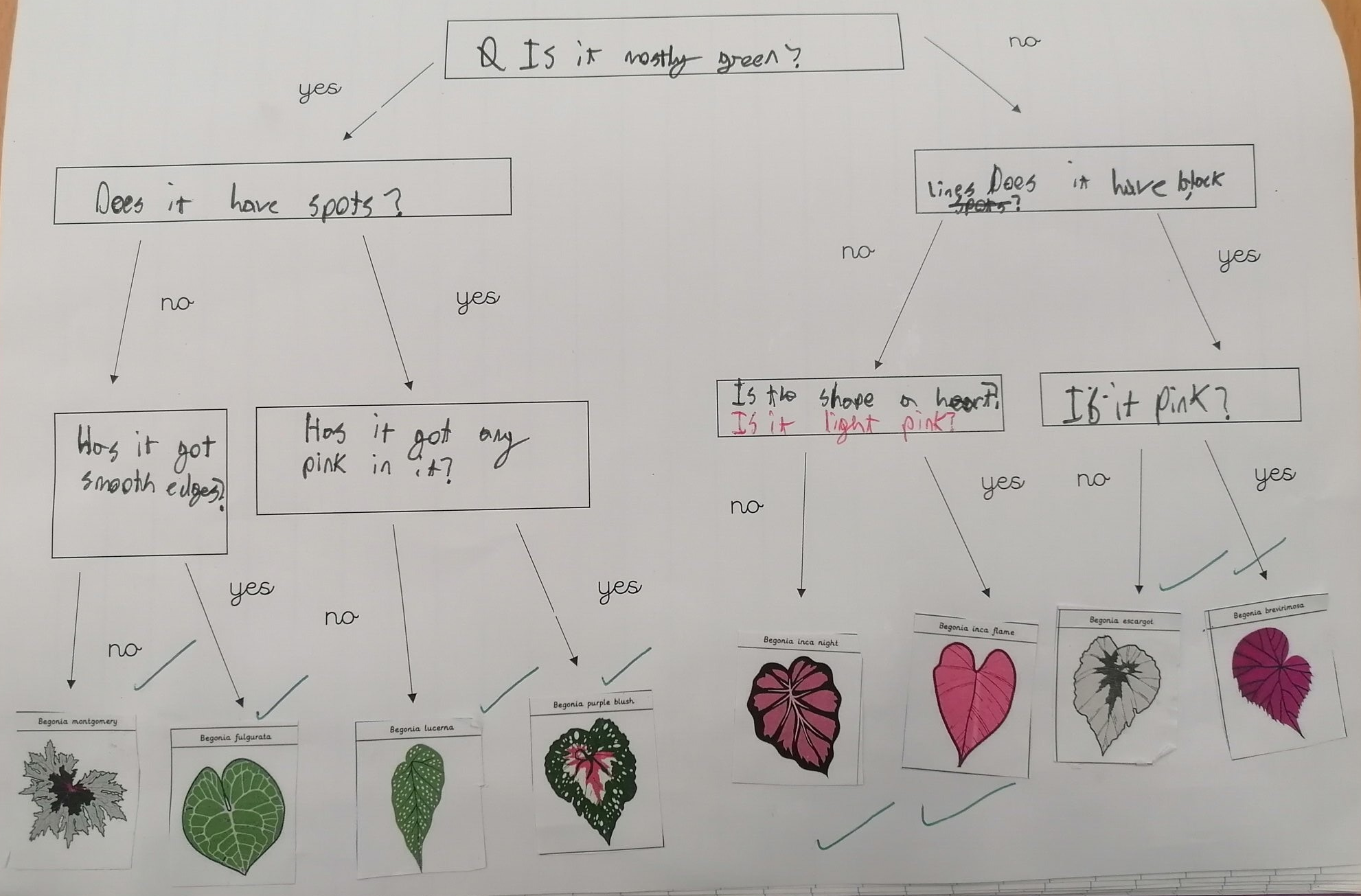 Image of Super Science in Orchard