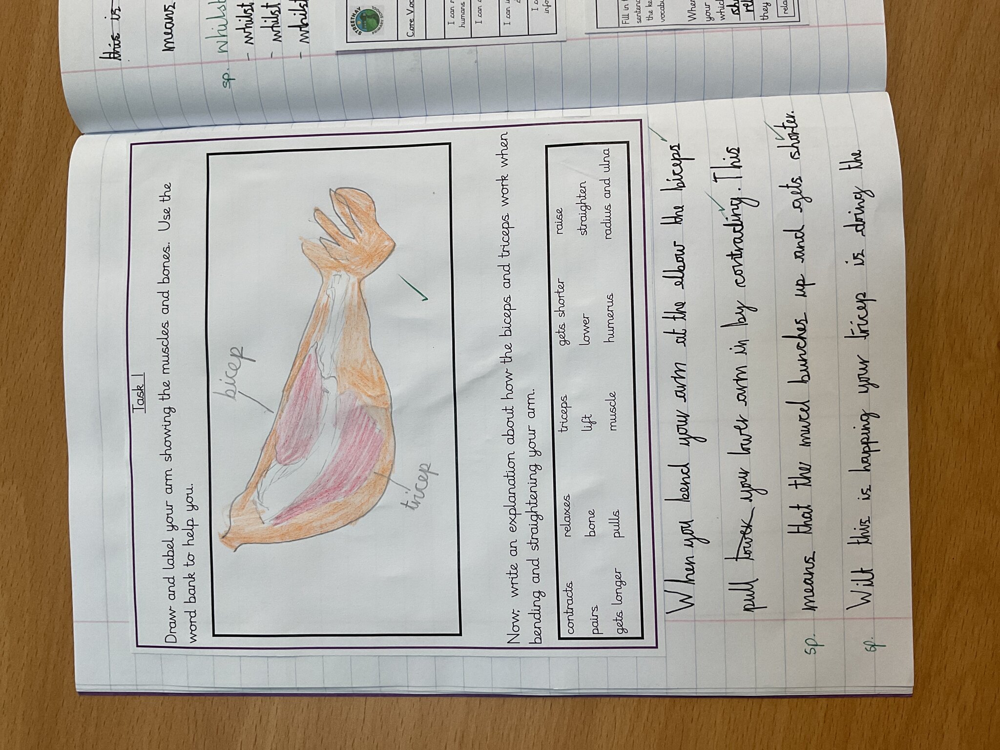 Image of Science in Team Badgers