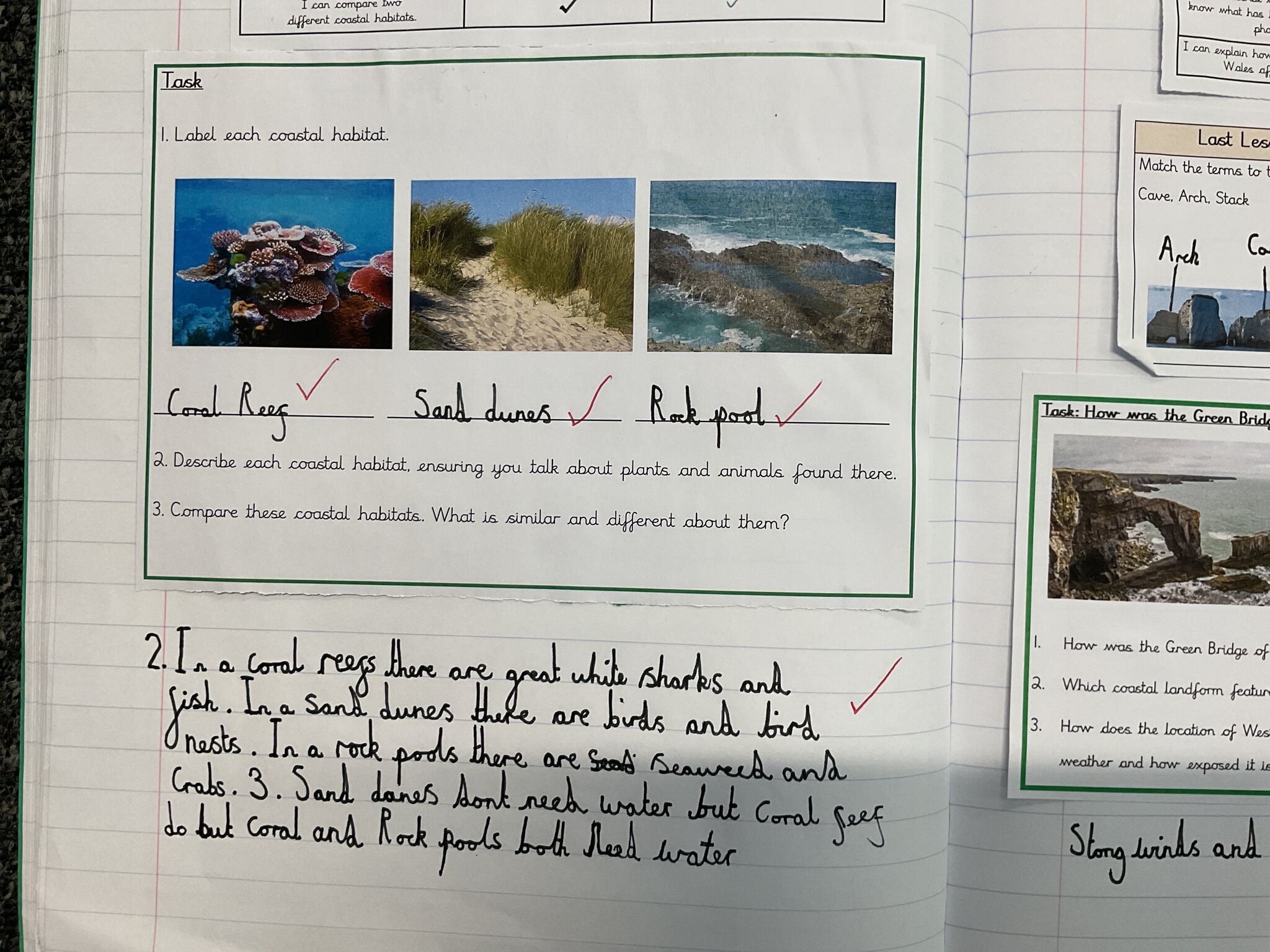 Image of Coastal Habitats in Team Hedgehogs