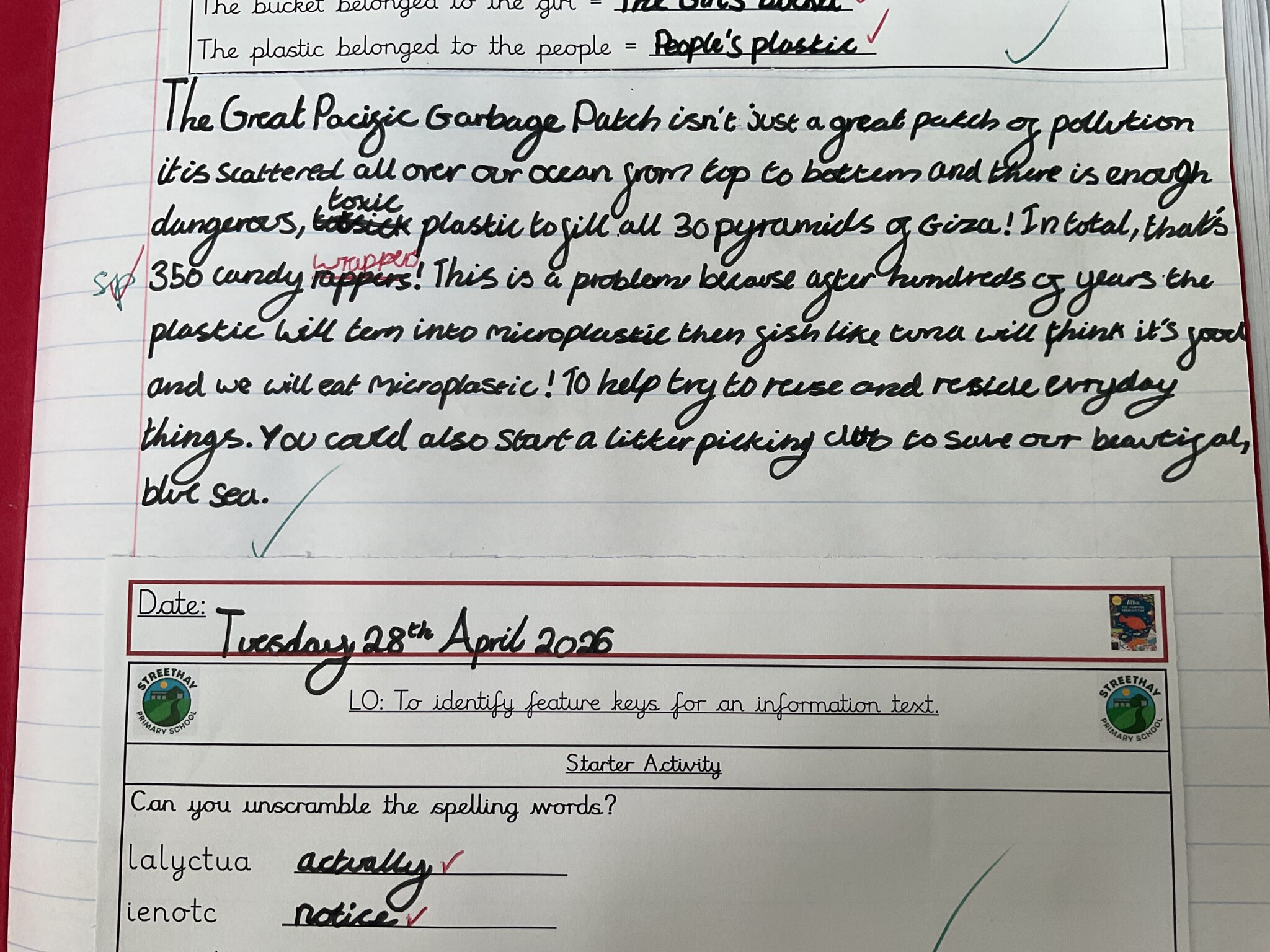 Image of Team Hedgehogs write about The Great Pacific Garbage Patch!