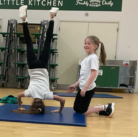 Image of Hedgehogs Headstands!