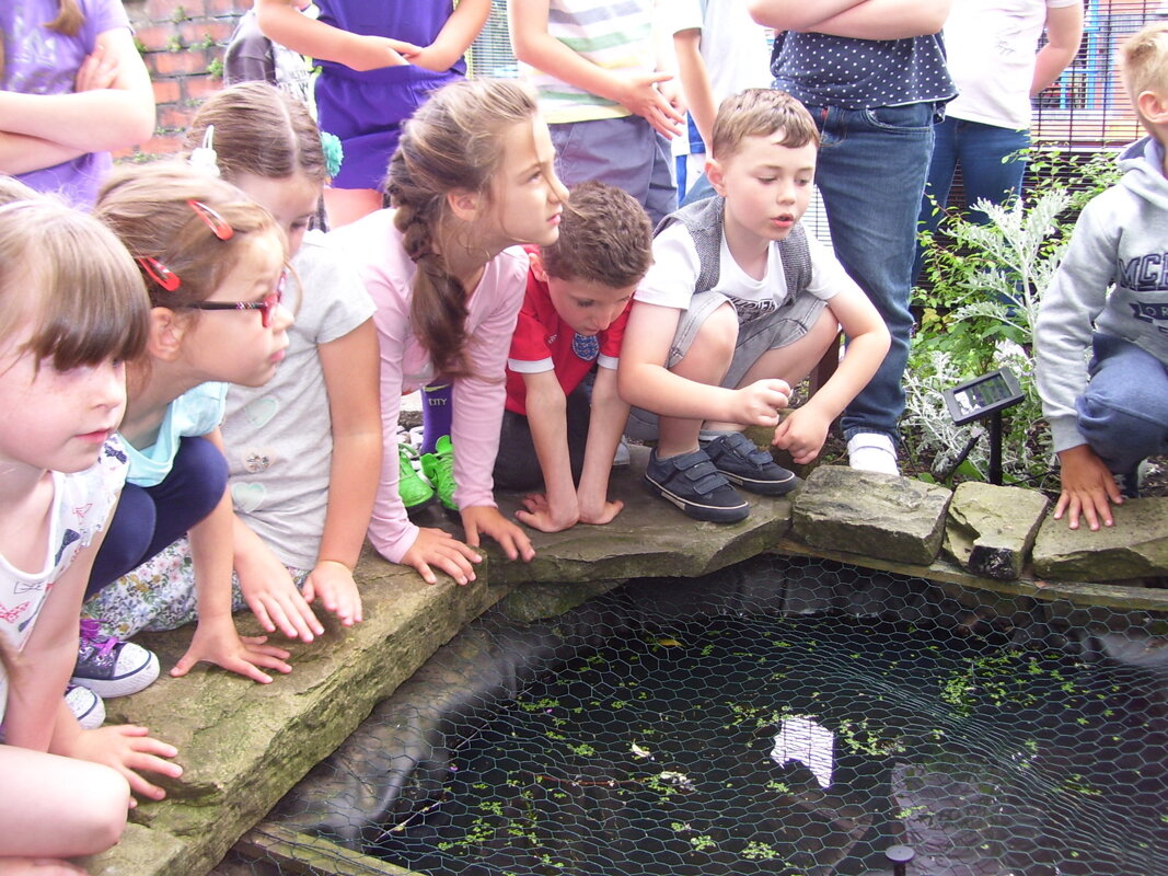 Image of Awe and Wonder in the Eco Garden