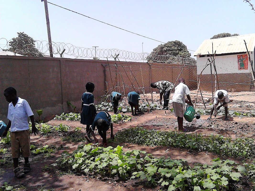 Image of Serrekunda School Garden