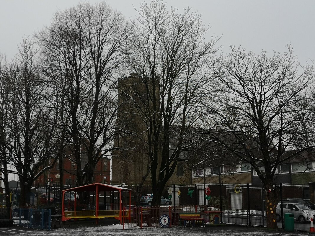 Image of Winter Trees