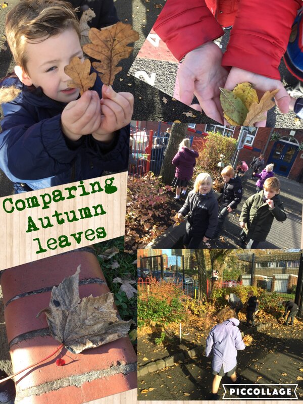 Image of Outdoor Learning