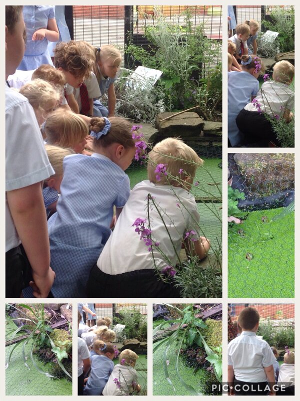 Image of Examining the eco garden for signs of life