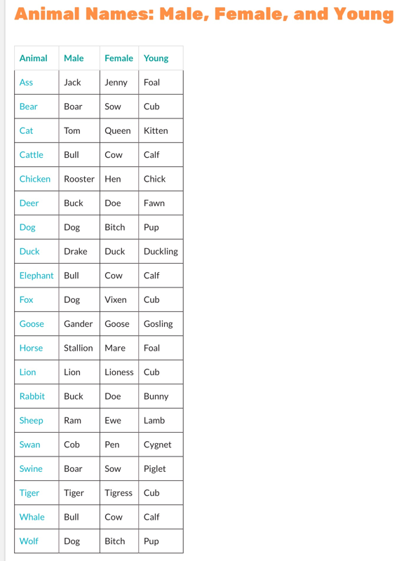 Image of Male and female animals and their young