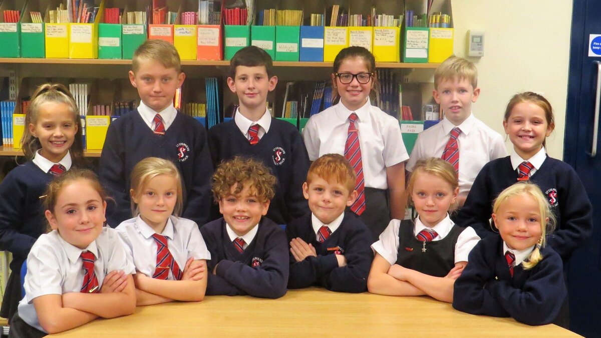 Image of New School Council