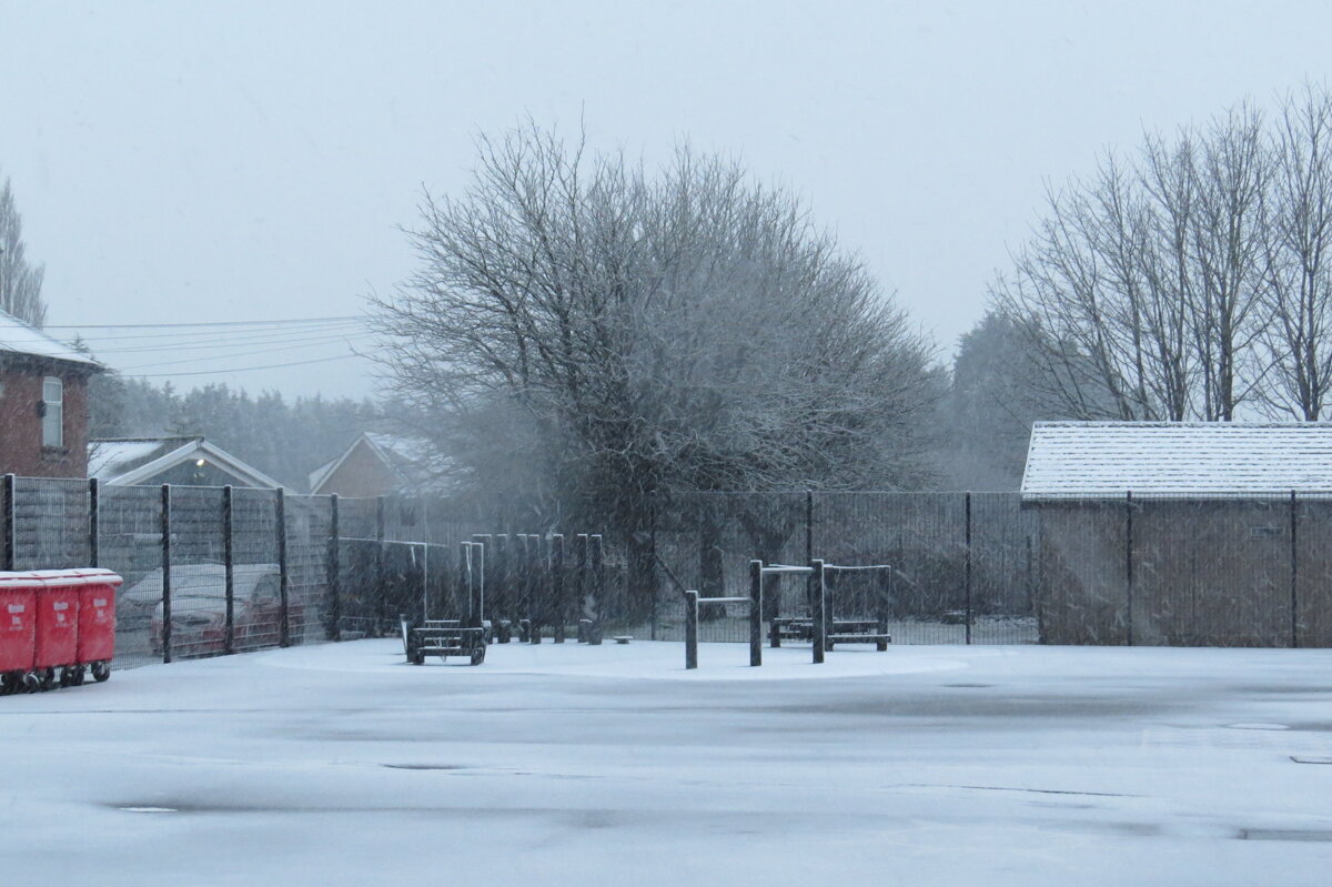 Image of Early Morning Snow