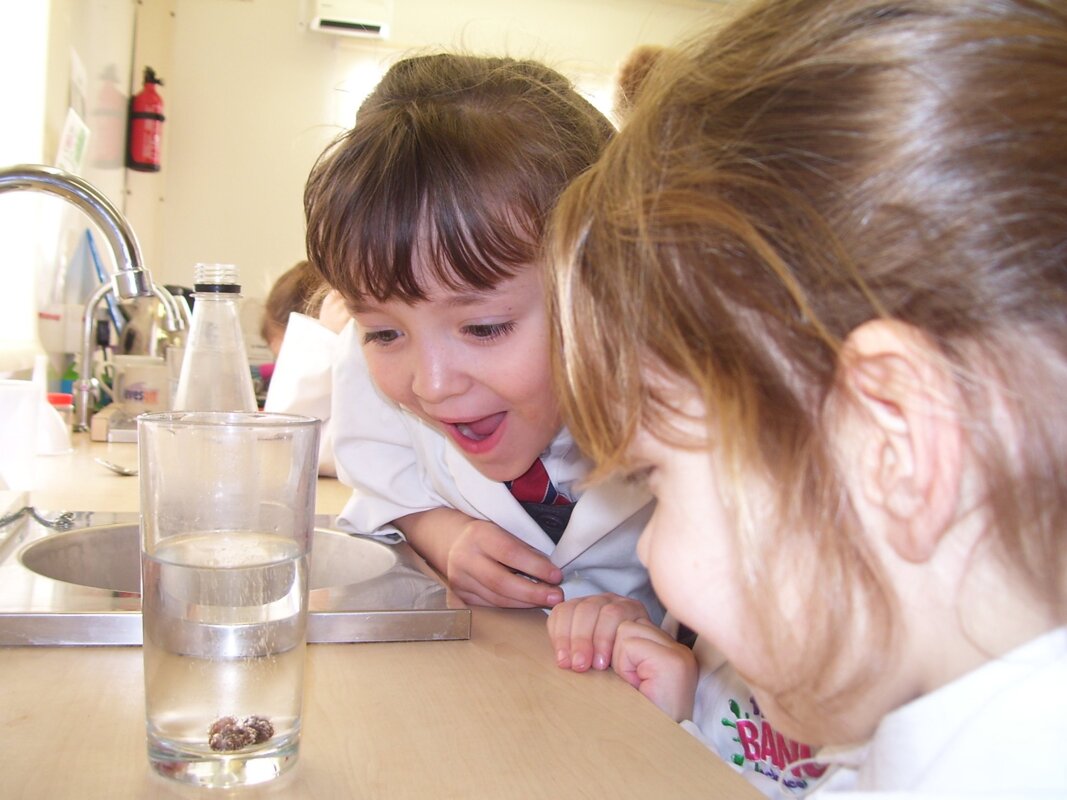 Image of Awe and wonder in Year 1