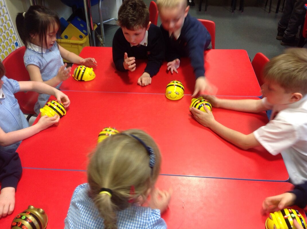 Image of Bee bot barn dance