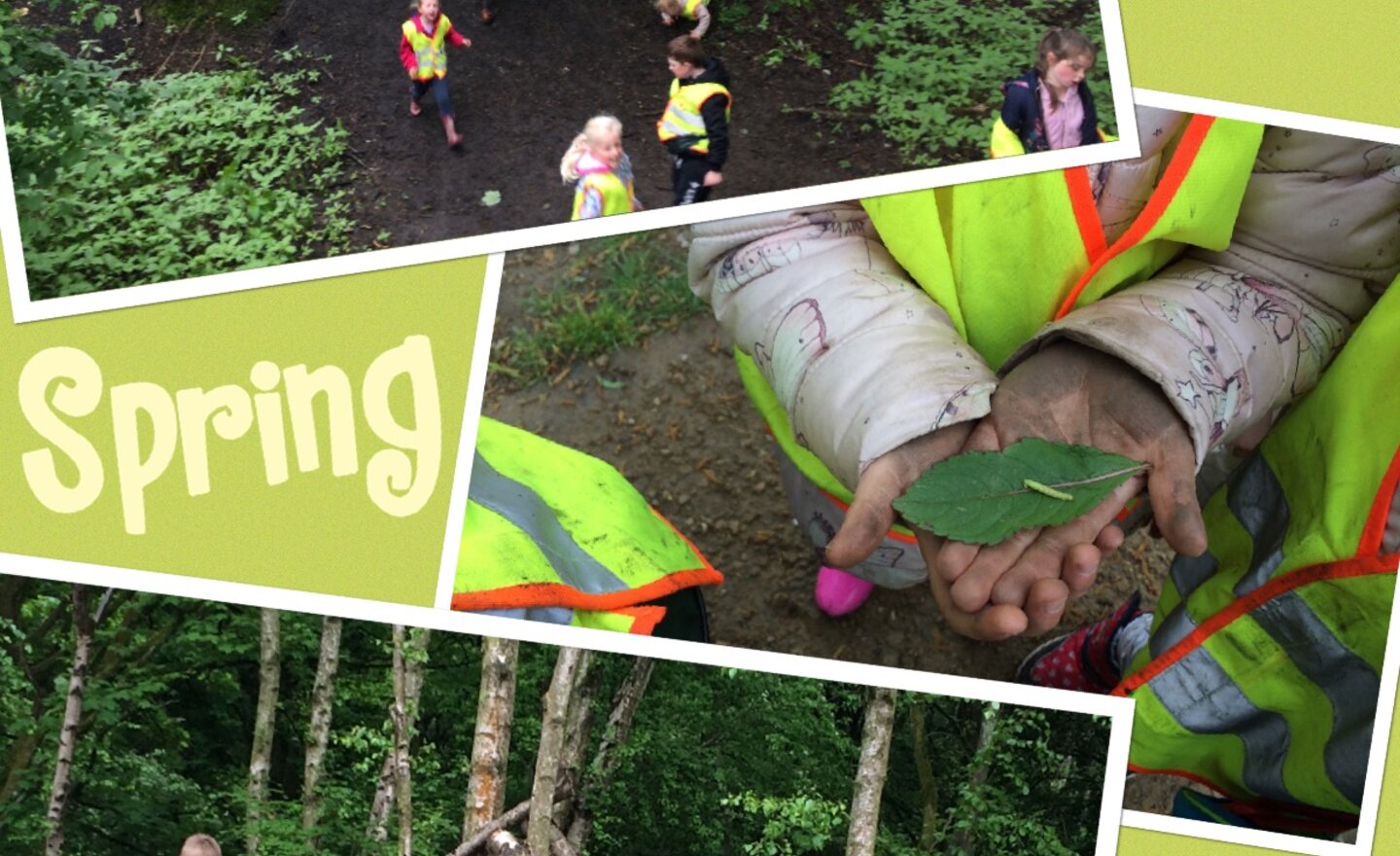 Image of Year 1's Spring Walk