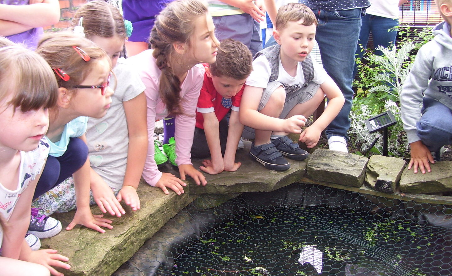 Image of Awe and Wonder in the Eco Garden