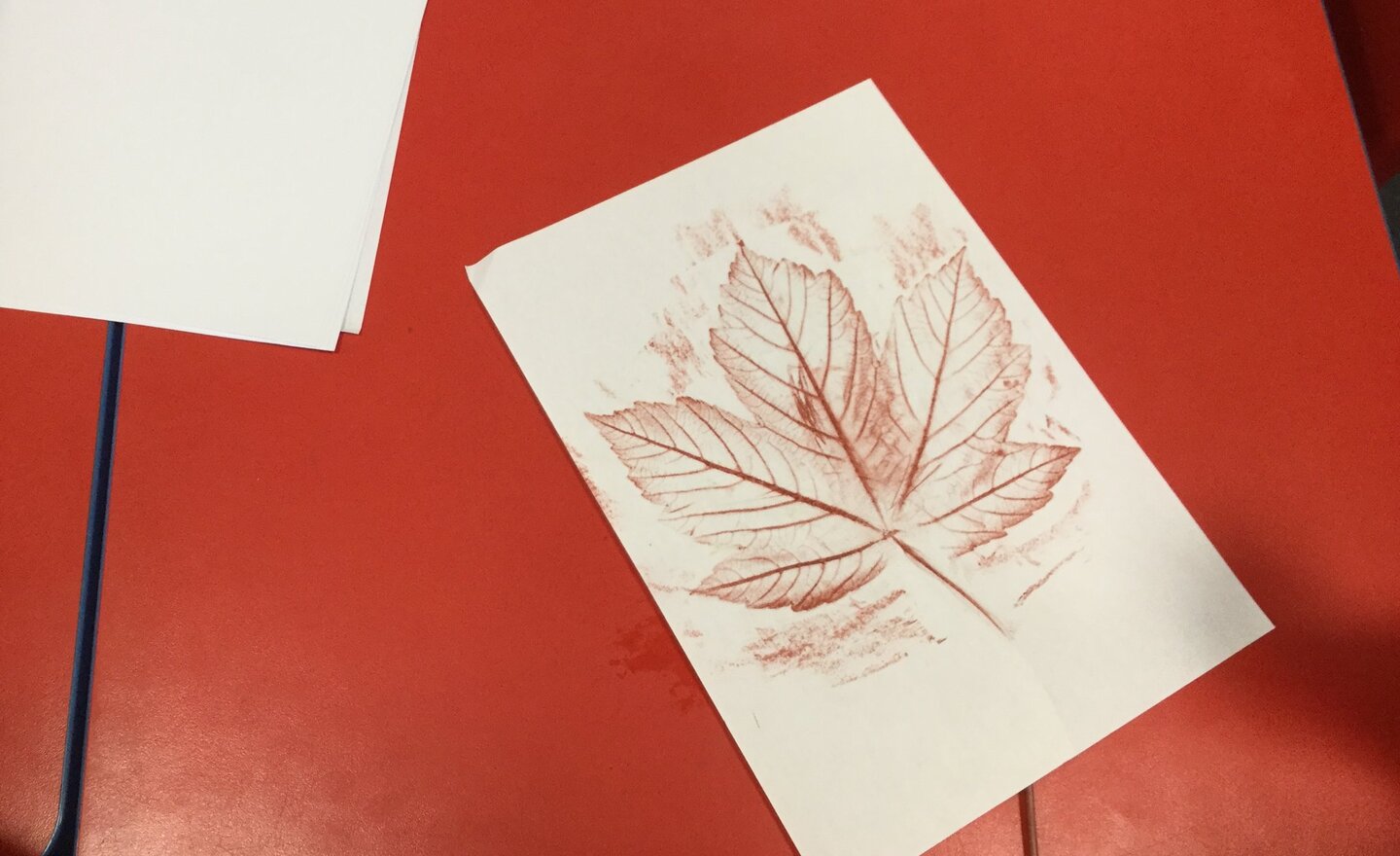 Image of Leaf Rubbing