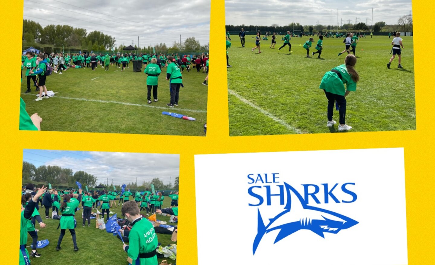 Image of Sale Sharks