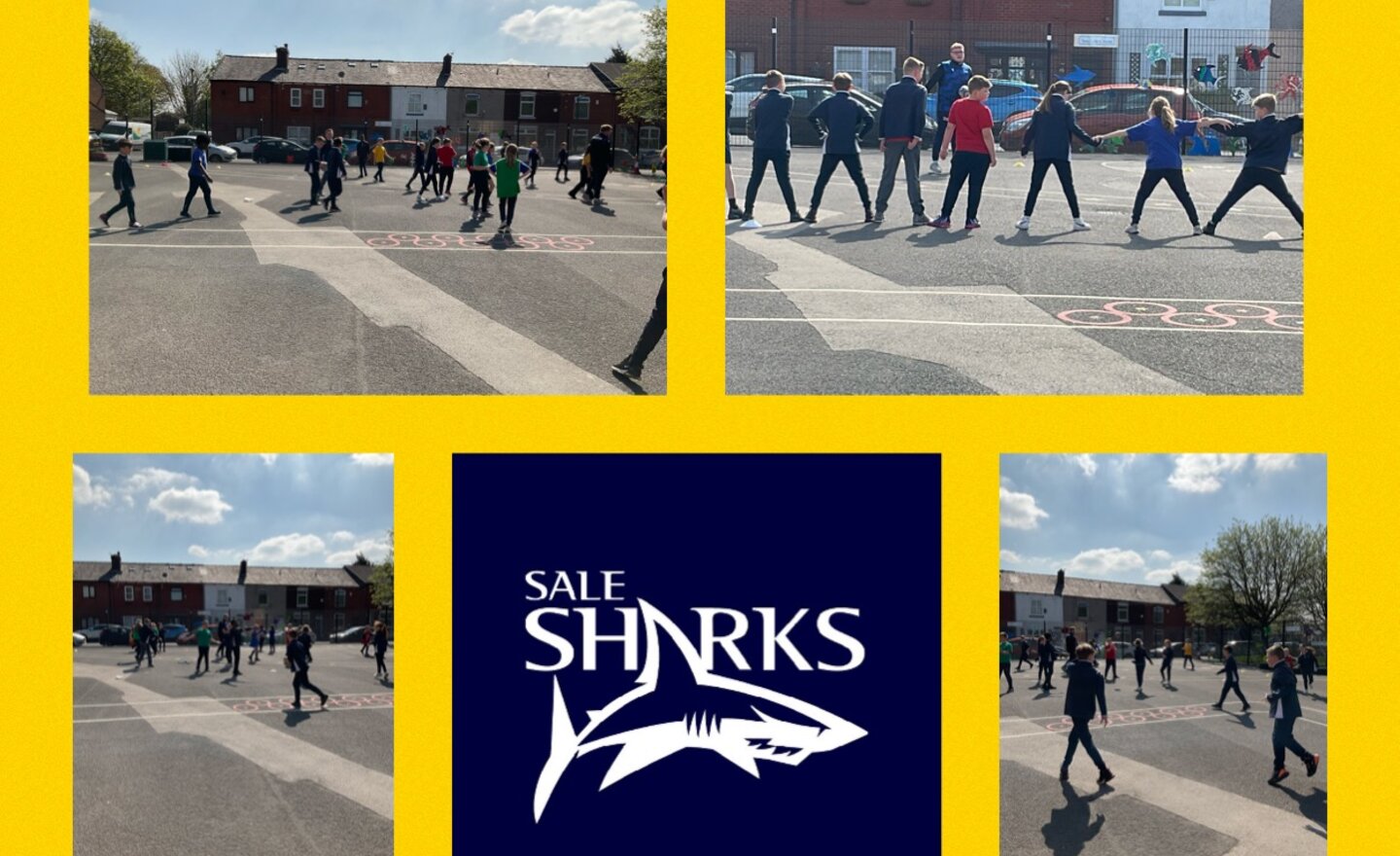 Image of Sale Sharks - again!