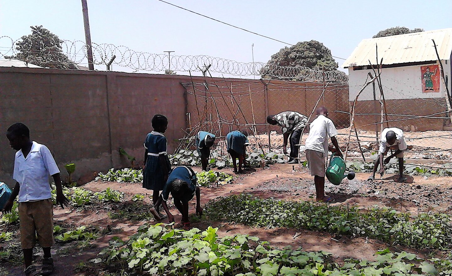 Image of Serrekunda School Garden