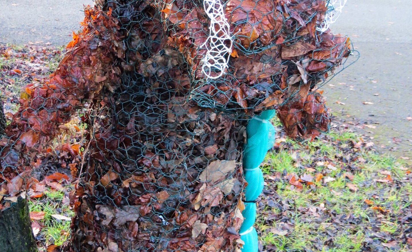 Image of Mysterious Creature Seen Lurking in Top Playground