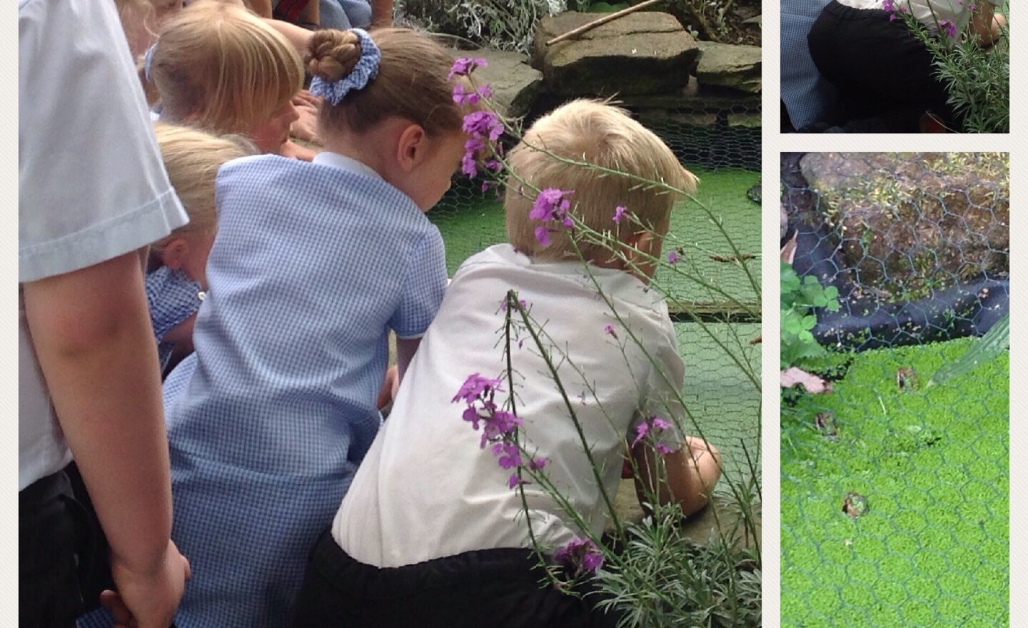 Image of Examining the eco garden for signs of life