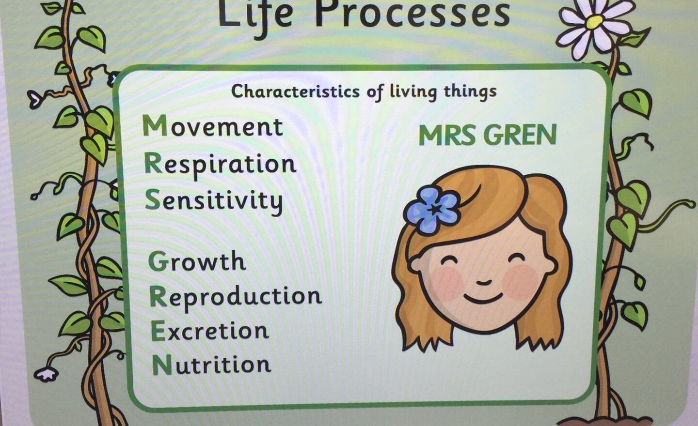 Image of MRS GREN