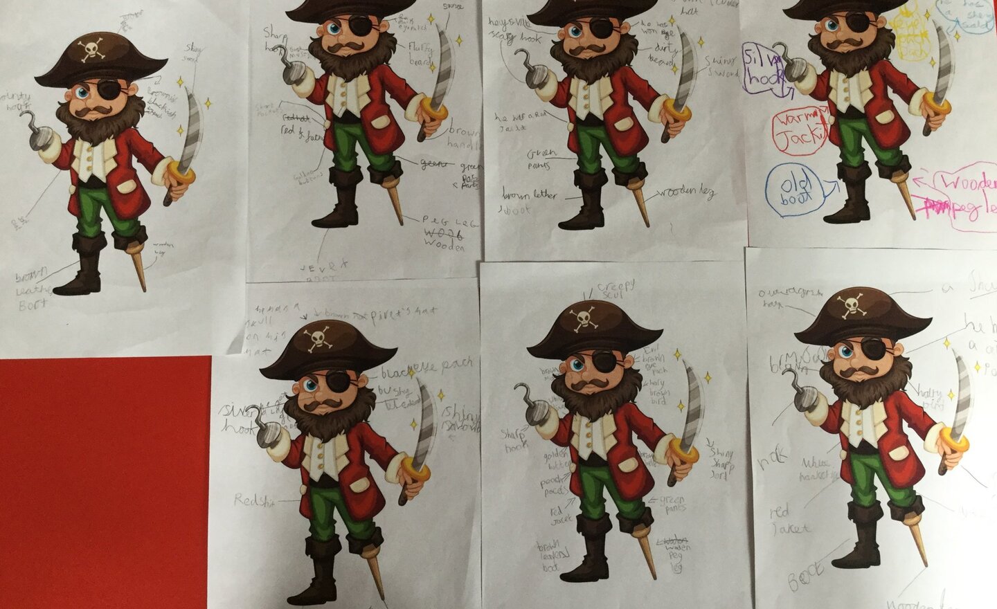 Image of Describing Pirates