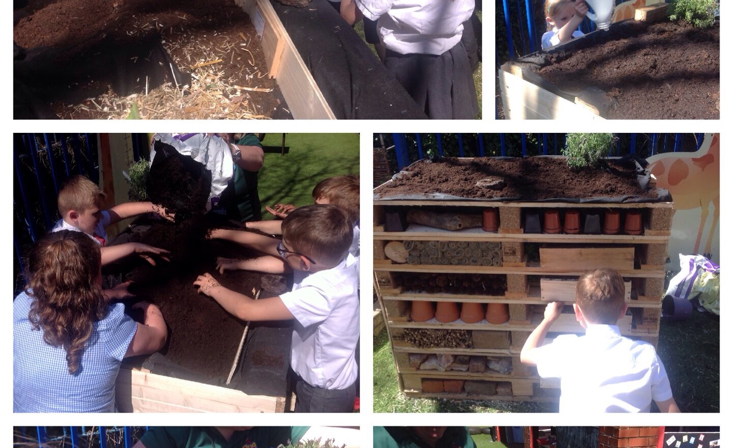 Image of Finishing touches to our bug hotel