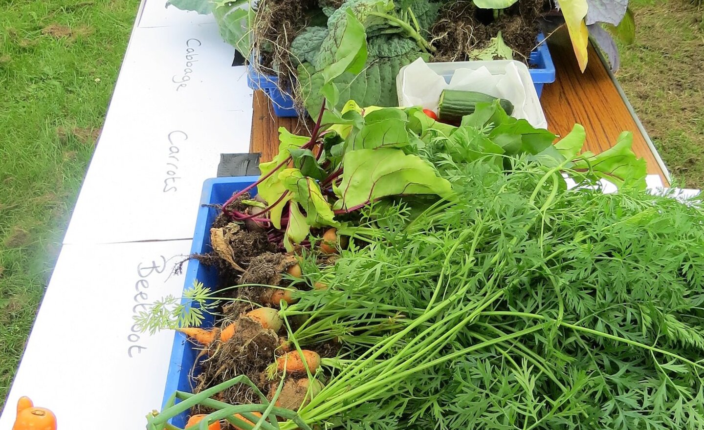 Image of Long Jump, Javelin and Fresh Veg!