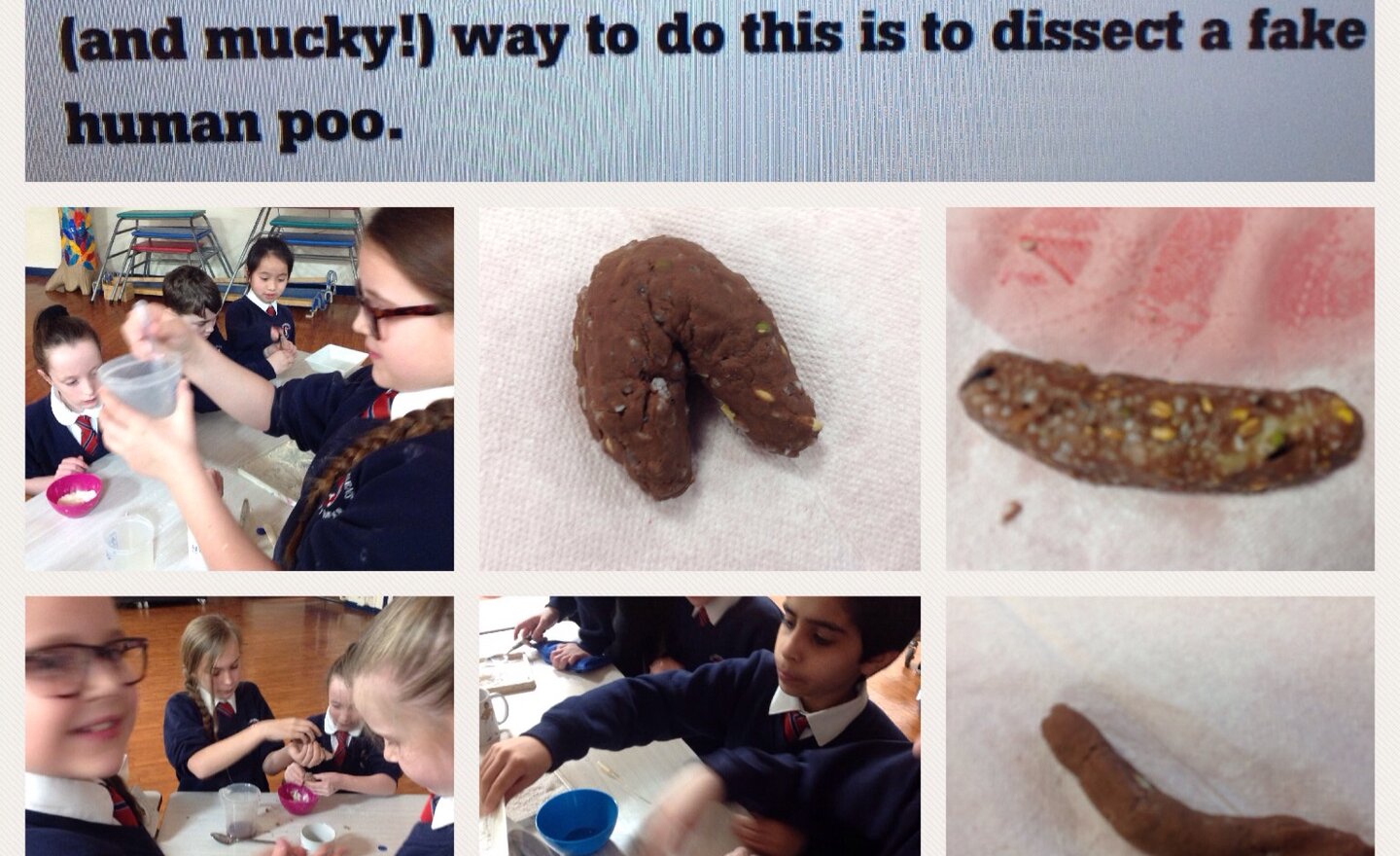 Image of Anglo Saxon Poo