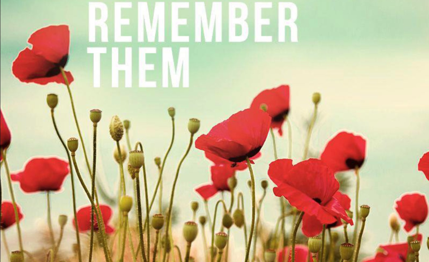 Image of Remembrance Day